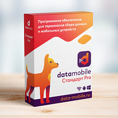 ПО DataMobile, версия Стандарт Pro в Тюмени