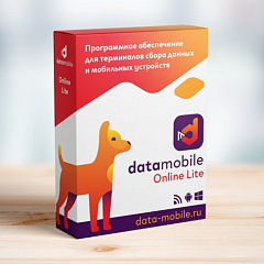 ПО DataMobile, версия Online Lite в Тюмени